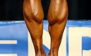 怎么增加腿部肌肉呢